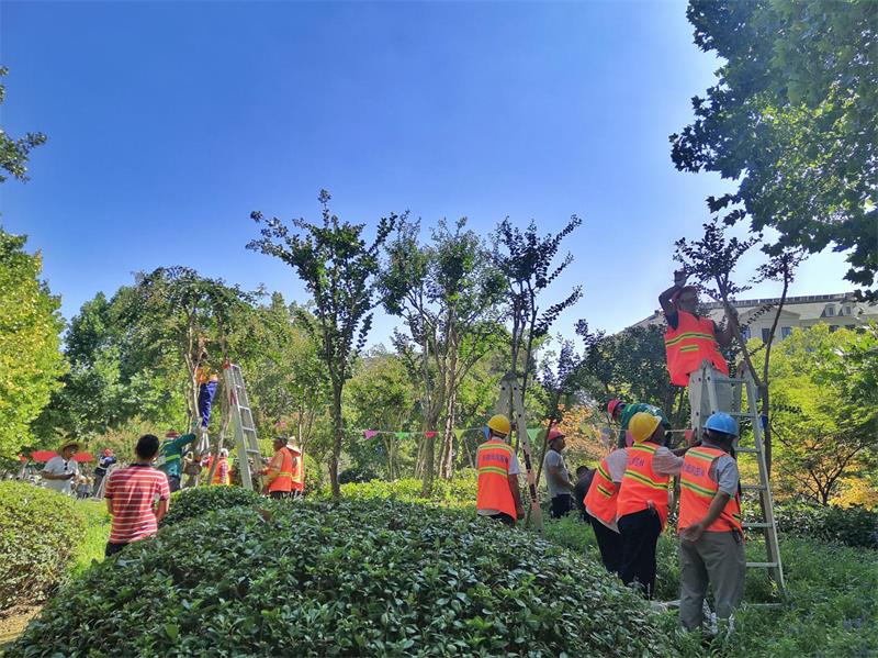 乐动网页版承办全市住建系统园林绿化工职业技能大赛